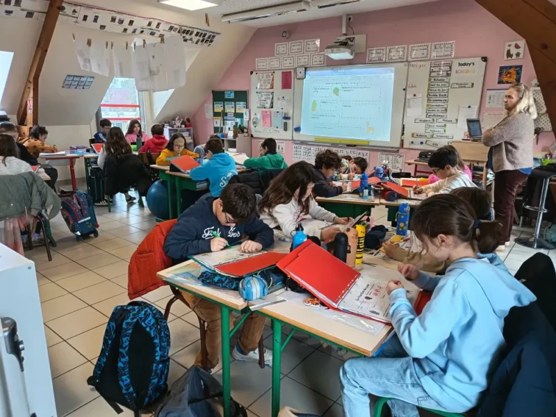 IMG_20260113_110617_resized_20260113_113435324