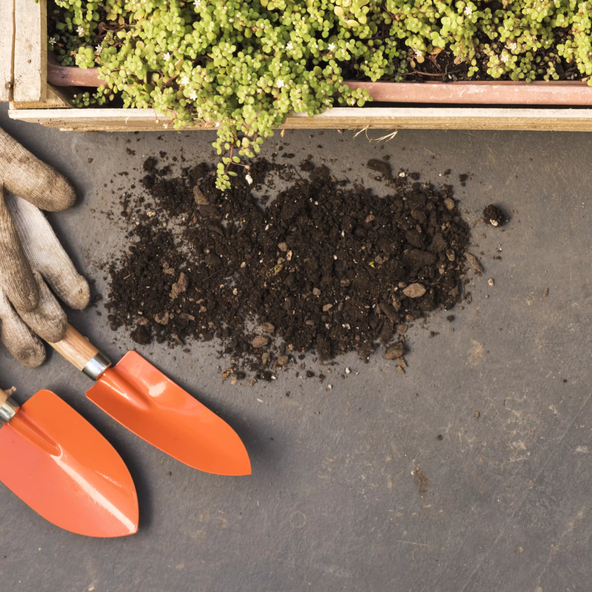 Jardinons à l’école