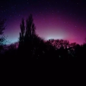 IMG-20260119-WA0003(2)