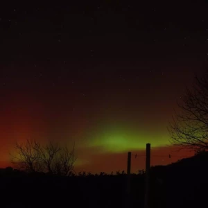 IMG-20260119-WA0011(1)