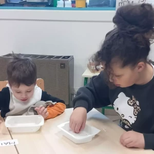 1793f2e3-bfee-417b-b797-17620ba93a5d